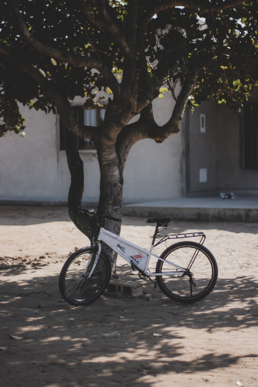 a bicycle parked under a tree