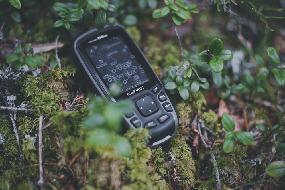 a cell phone sitting on top of a moss covered ground