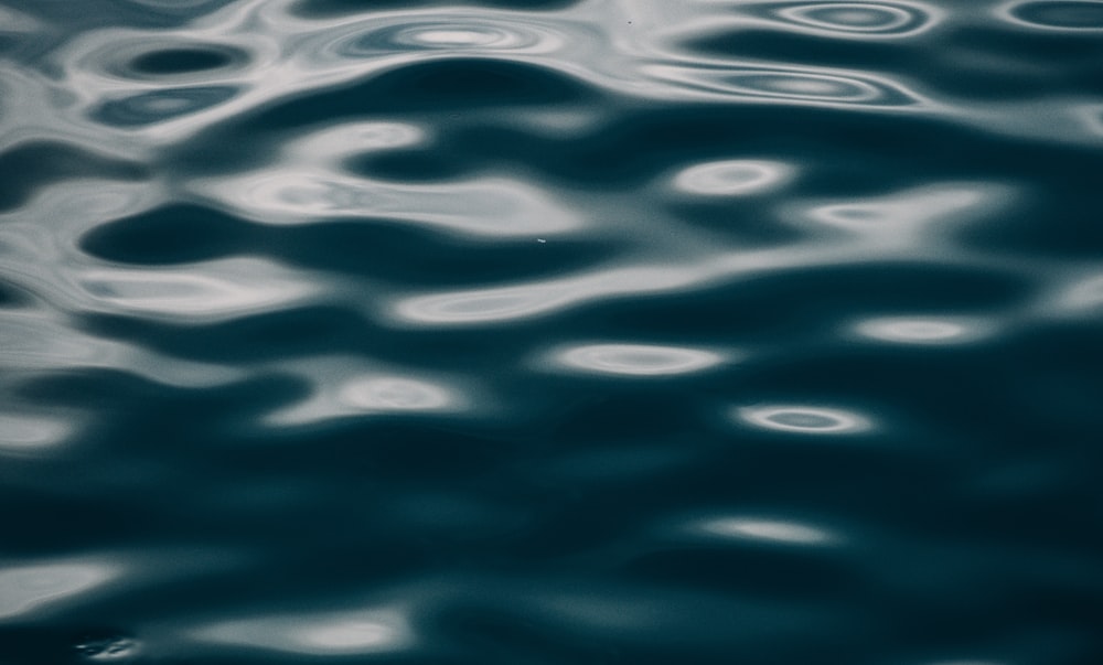 a close up of a body of water