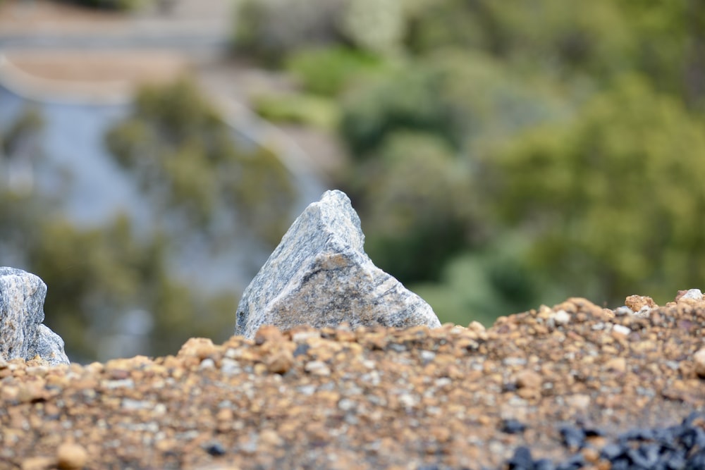 a close up of rocks and gravel with trees in the background