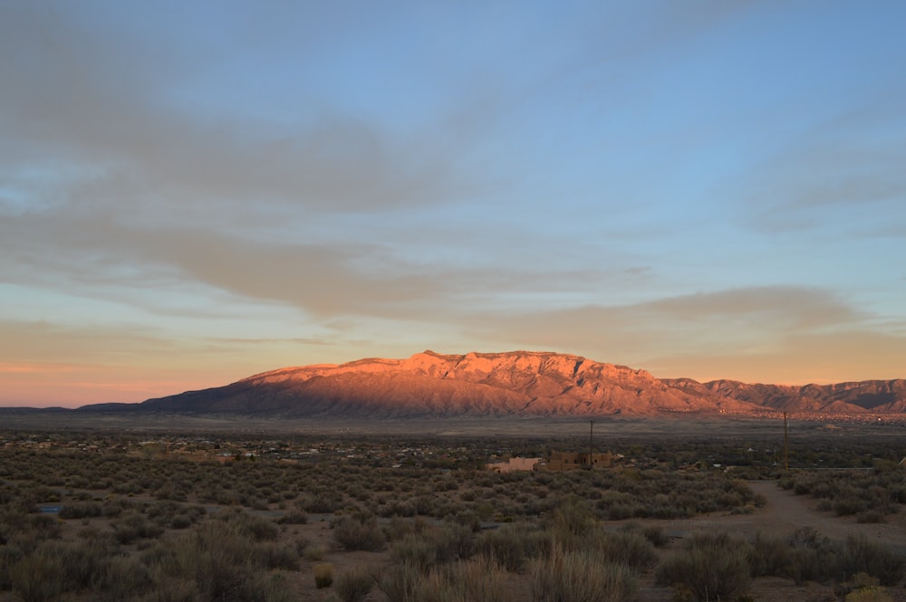 a desert landscape with a mountain in the background