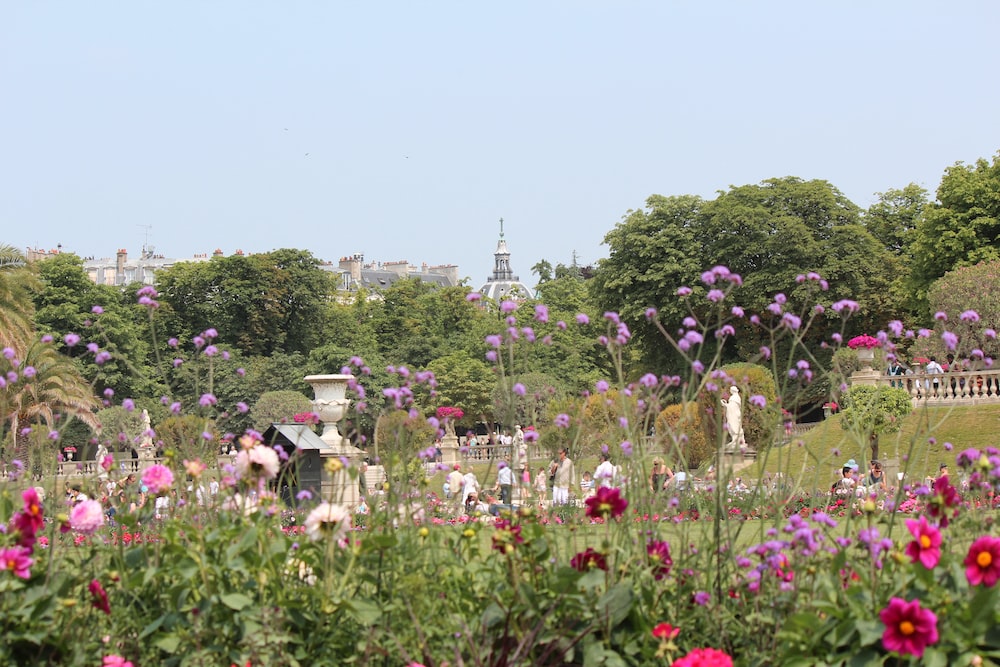 a field of flowers with a statue in the background