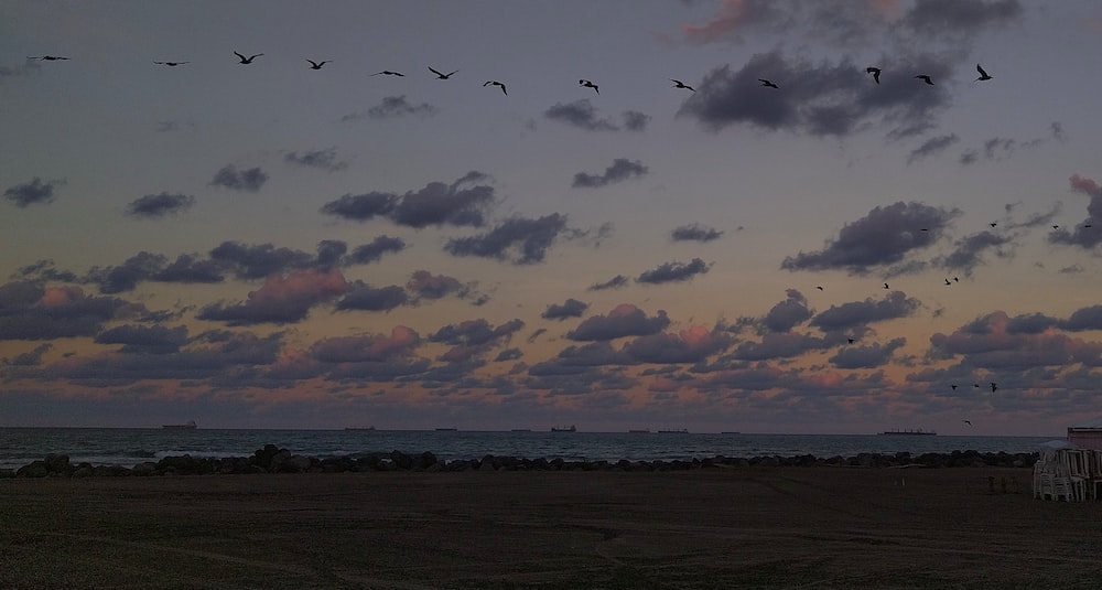 a flock of birds flying over a beach at sunset