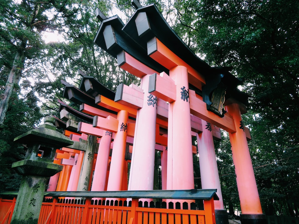 a group of pink and orange pillars in a forest