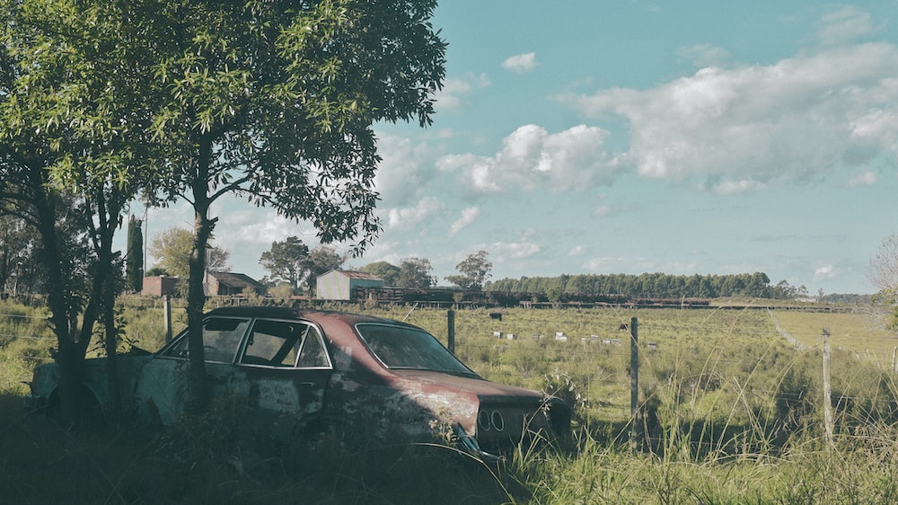 an old car sitting in a field next to a tree
