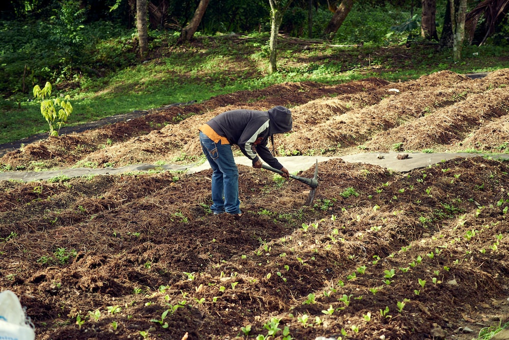 a person digging in a field with a shovel
