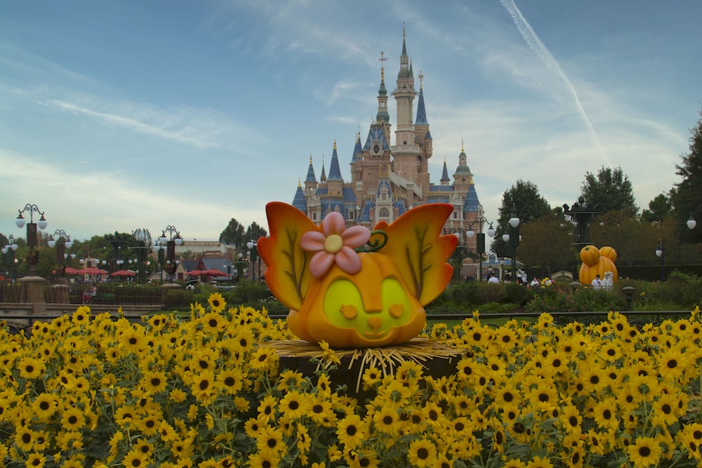 a pumpkin in a field of flowers with a castle in the background