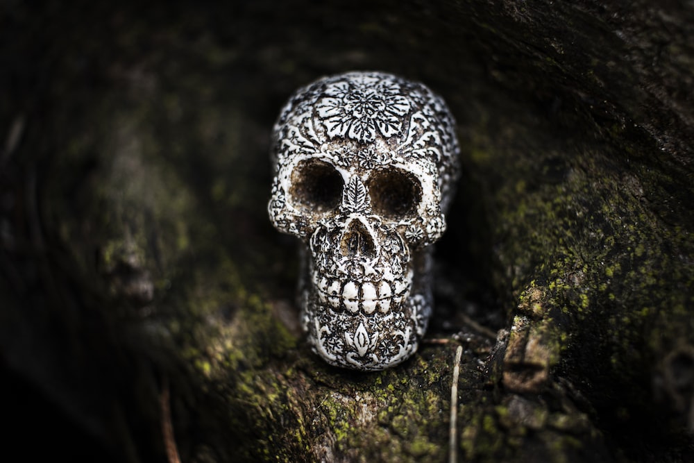 a skull in a cave