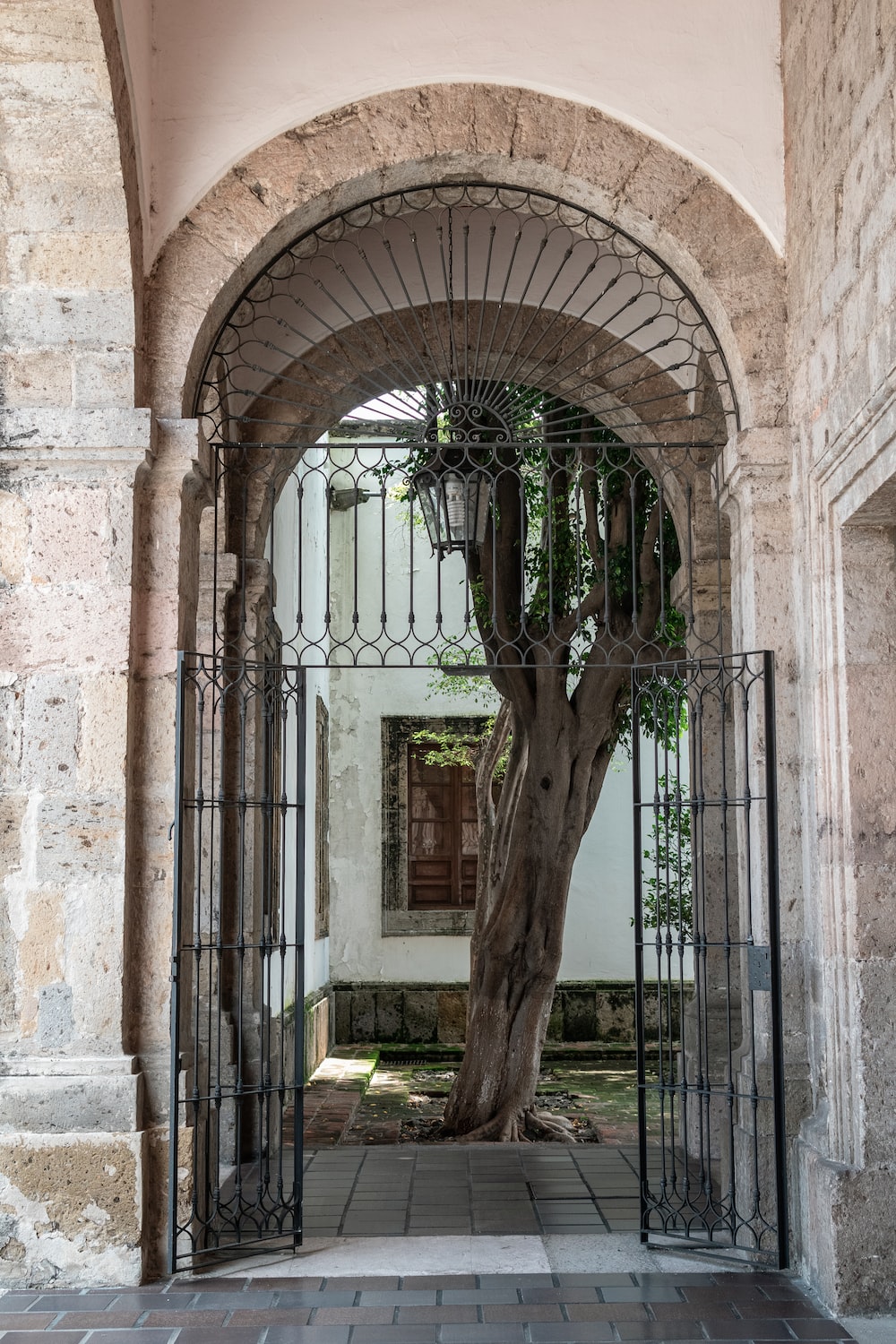 a tree in the middle of a courtyard