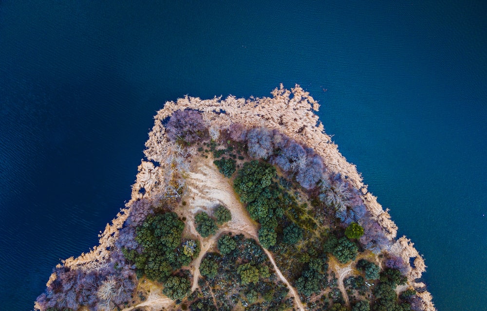 bird's-eye photography of island