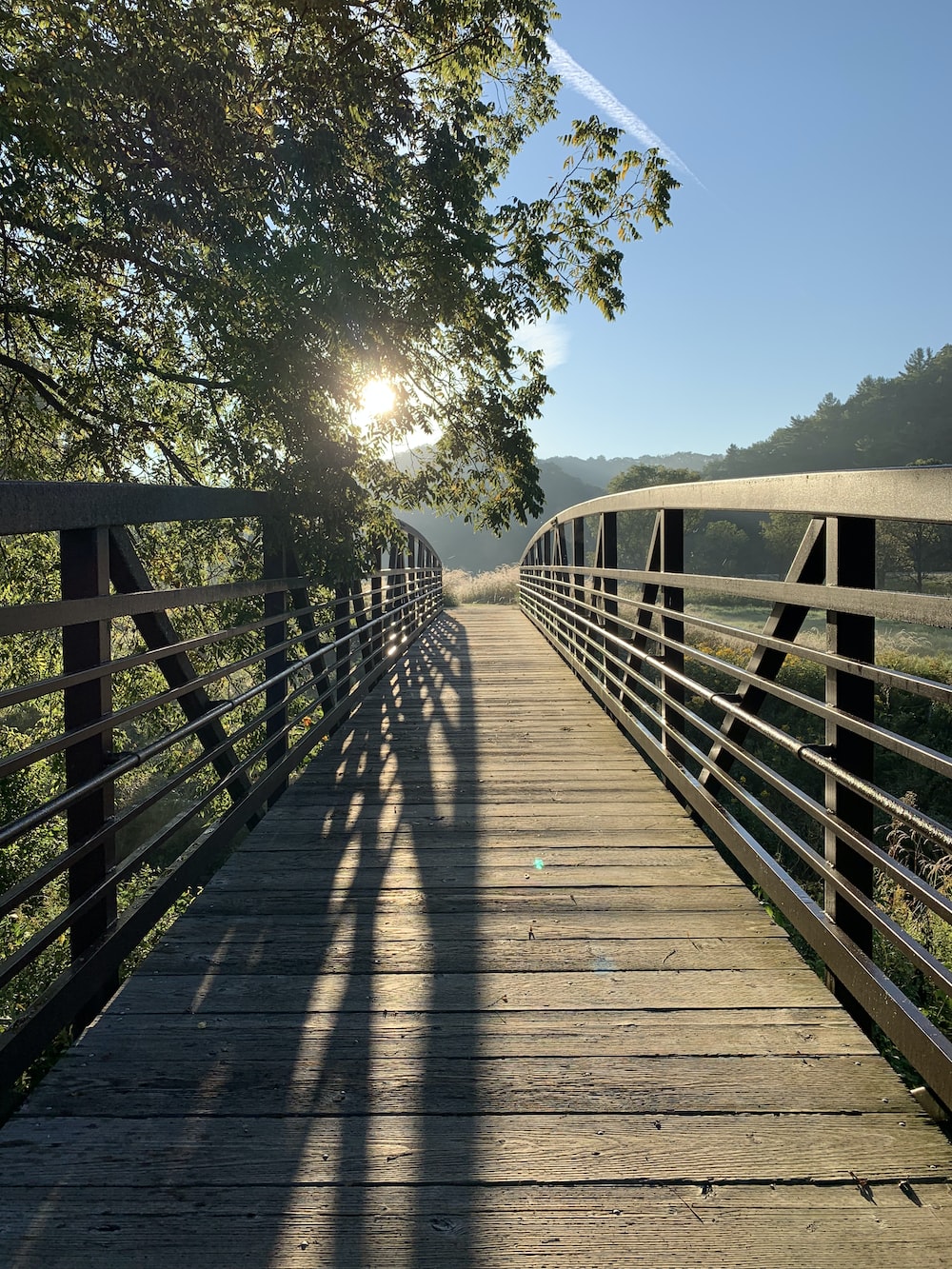brown wooden bridge near green trees during daytime