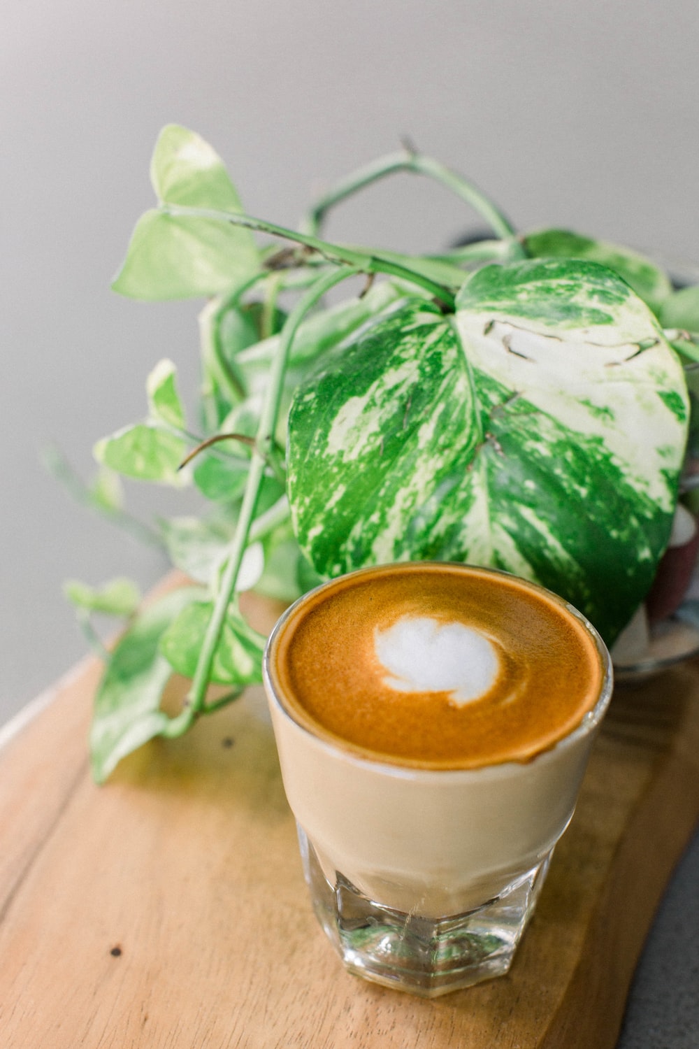 cappuccino beside green plant