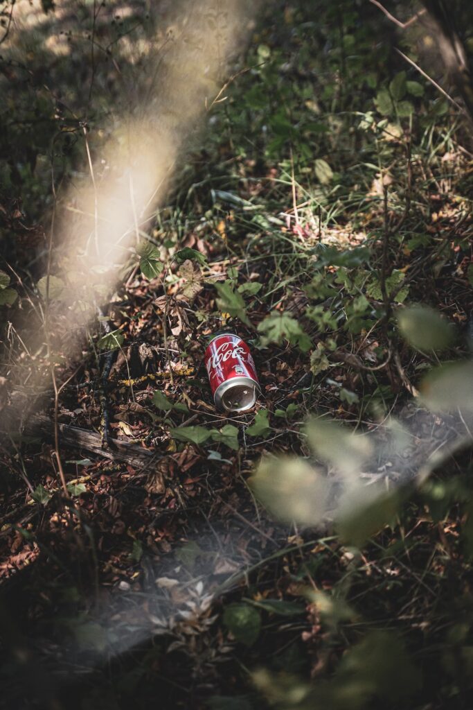 coca cola can on green grass
