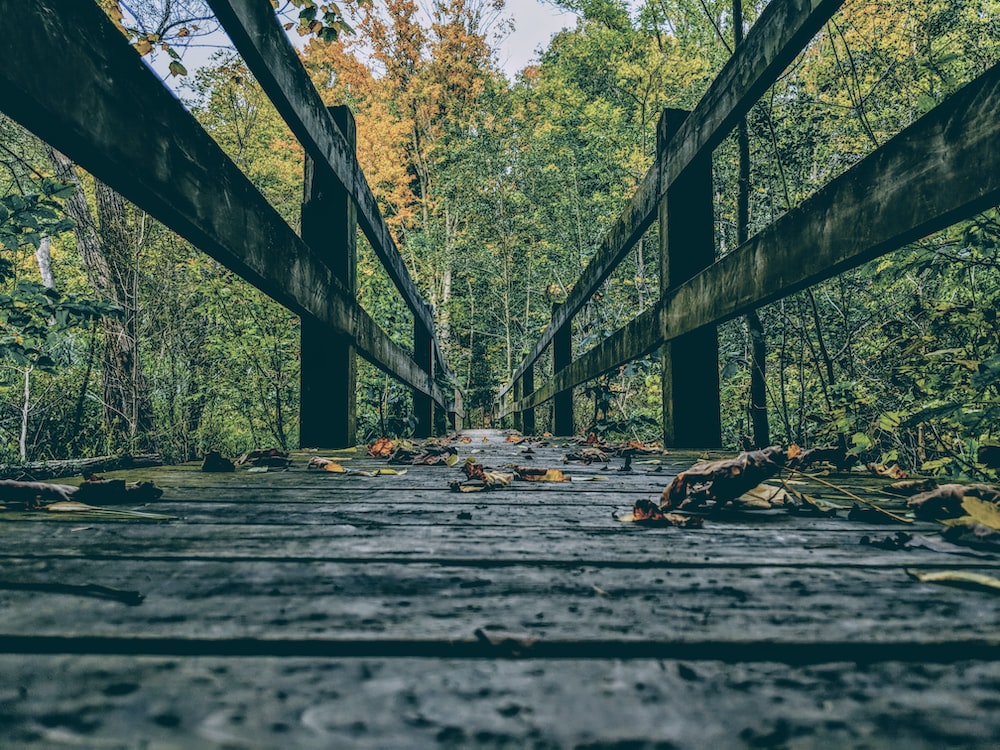 empty bridge