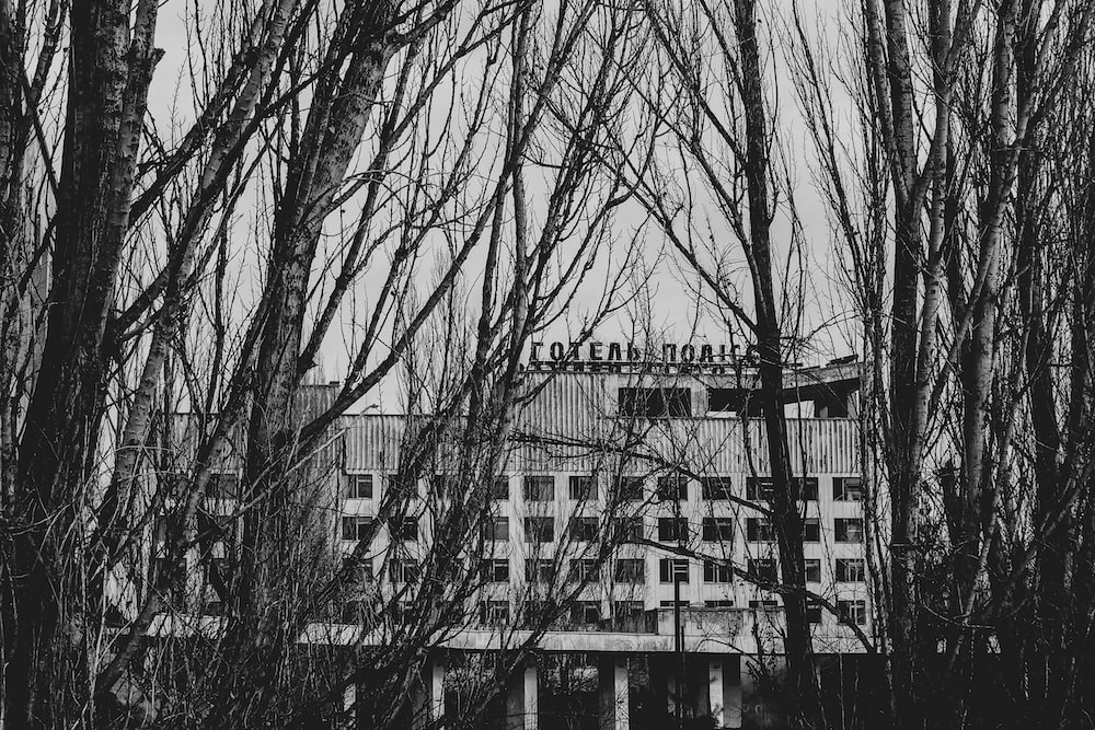 grayscale photo of bare trees near building