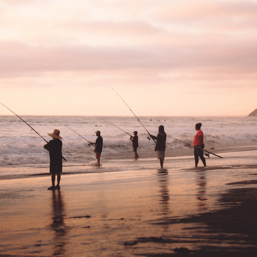 people fishing on beach during daytime