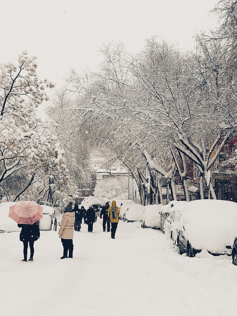 people walking on snow covered ground with bare trees during daytime