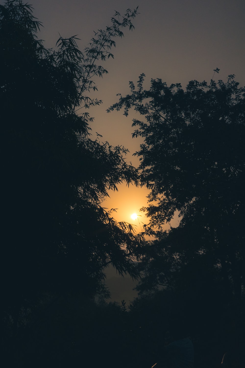 the sun is setting behind some trees