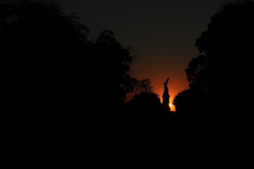the sun is setting behind the silhouette of trees