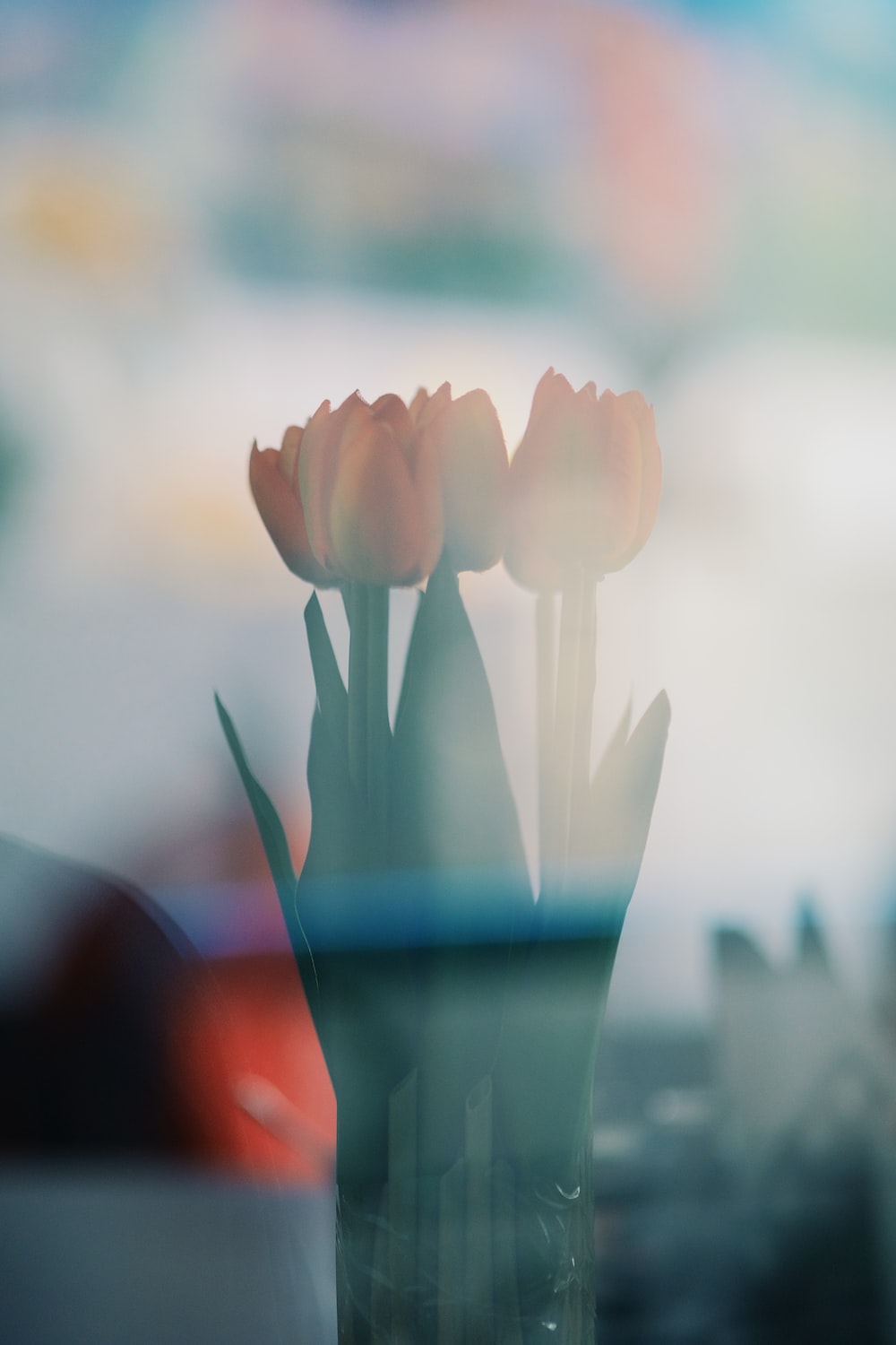 three tulips in a vase on a table
