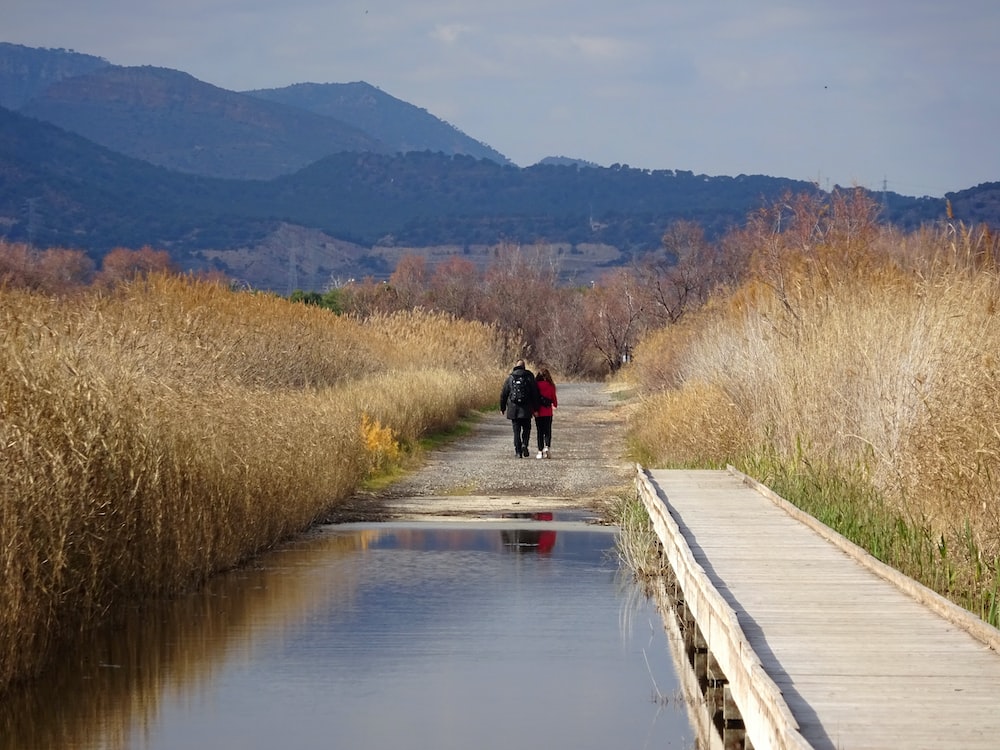 two people walking down a path next to a body of water