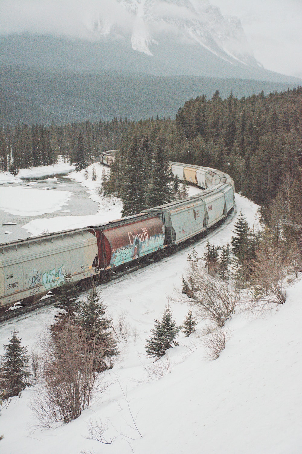 white and brown train with snow covered field surrounded by trees