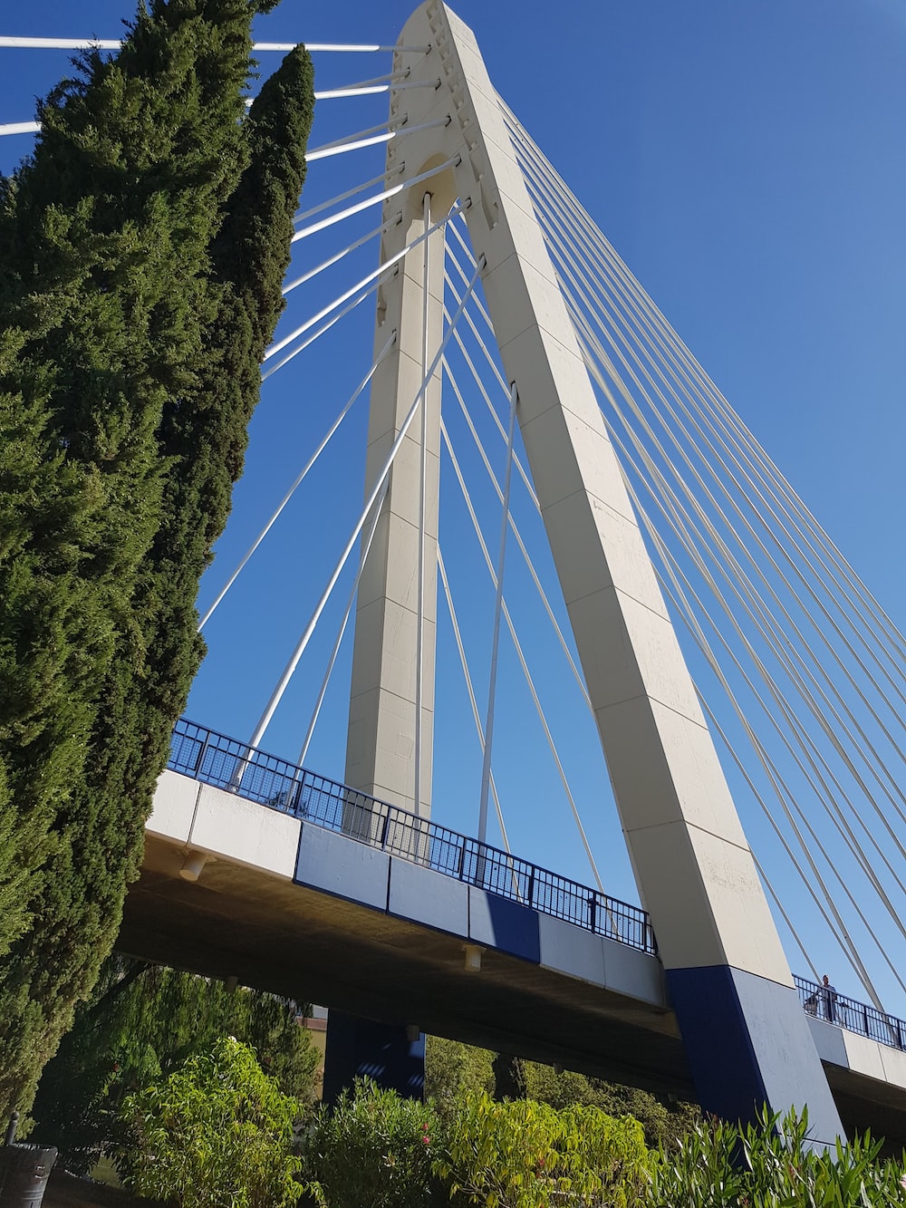 white suspension bridge