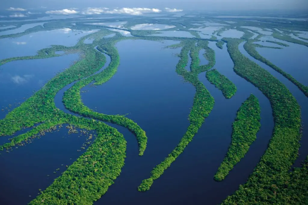 Biodiversidad del río Amazonas