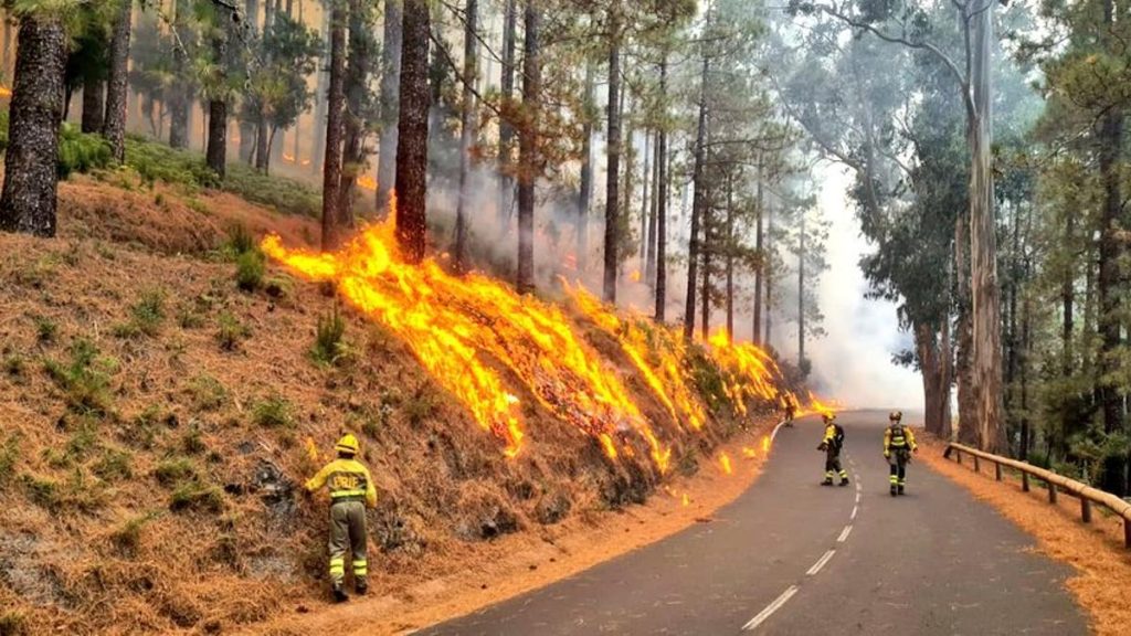 Incendio Tenerife afecta más de 3.700 hectáreas