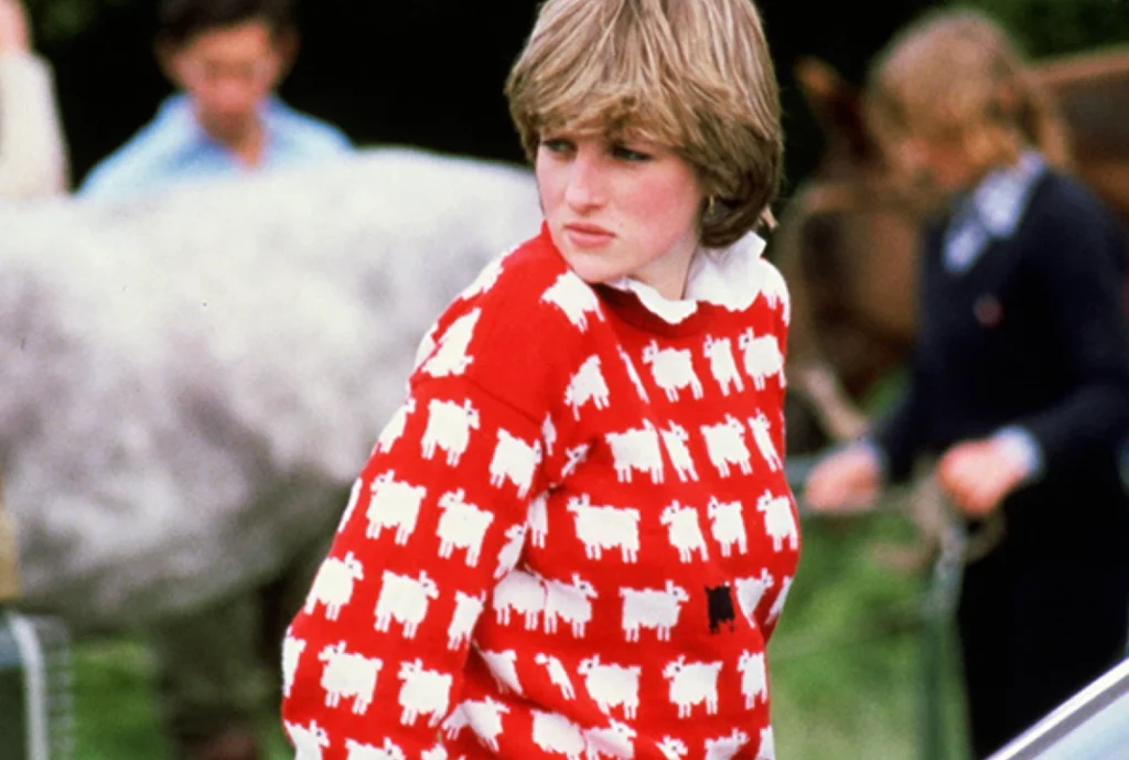 Suéter con una oveja negra